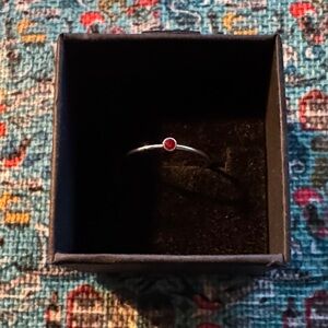 Delicate Silver Stainless Steel Ring with Small Red Gem